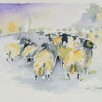 'Sheepish Sheep' by Chris Jones Watercolourist - I just love painting sheep!