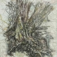Climbing tree in the Chilterns, pen and coloured pencil drawing on map by Emma J Williams
