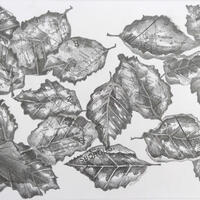 Scattered Beech Leaves with Bledlow map, pencil and collage drawing by Emma J Williams