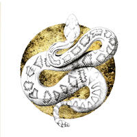Pen and Ink, Gold Leaf, Snake