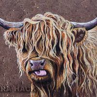 Highland cow - pastels on handmade paper