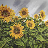 Sunflowers, Rain Showers by Alexandra Buckle