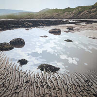 Tide's Out by Alexandra Buckle