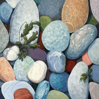 the different textures and colours of pebbles on the shore - seaside treasures