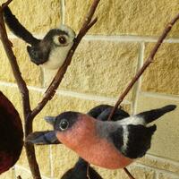 Wet felted: Bullfinch & Long Tailed Tit