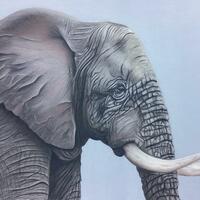 Elephant in Pastels. Original 