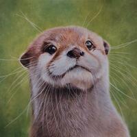 Painting called 'Curious' of a cute otter looking into the distance. Pastels on paper.