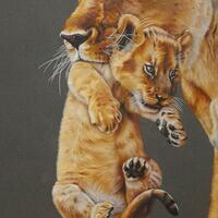 New and not yet named drawing of a lion cub being carried by mum. Pastels and pencils on paper.