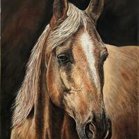 A painting of a palamino horse's head looking to the right. It is on a dark brown background .