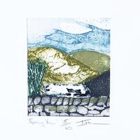 Spring View, Collagraph & chine colle