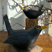 Blackbirds Ceramic with Oxides 2022