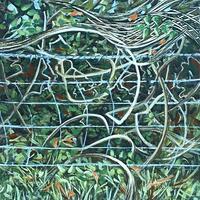 Wild Clematis and Barbed Wire. Acrylic 2023