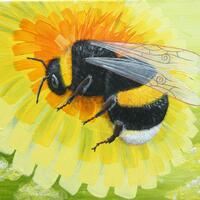 "Let the Dandelions Grow". Buff tail Bumblebee. Acrylic on stretched canvas, 30 cm x 40 cm