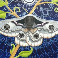 "Let the Moonlight Glow". Emperor Moth. Acrylic on stretched canvas, 30 cm x 40 cm