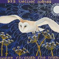 "Owl in Moonlight" Fine Art Print 30cm x 25cm and canvas panel print 40cm x 30cm