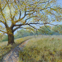 Shropshire oak: acrylics on canvas 18 x 24
