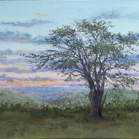 Dartmoor sunset: oils on A4 canvas board 