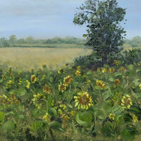 Sunflowers in Adstock: Plein air painting in oils A4