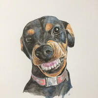 Laughing Dog, watercolour