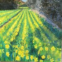 Along the Valley to the Daffodil Field. Acrylic on canvas. 50 x 50 cm