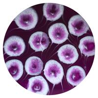 The Joys of Life -  Abstract life resin art in a gorgeous purple