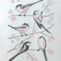 Long Tailed Tits on Cherry Blossom