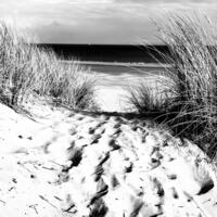 Path to the sea, B&W Photography