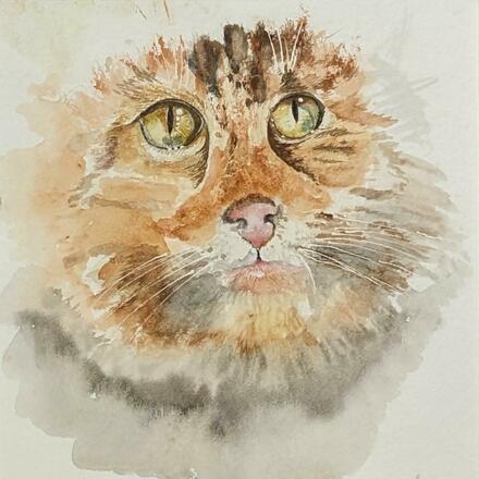 Cat watercolour with dreamy, character eyes. 'Bright Eyes'