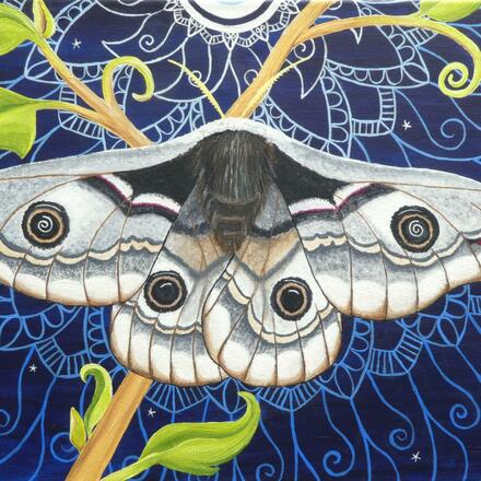"Let the Moonlight Glow". Acrylic on canvas detail of the British Emperor Moth