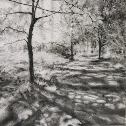 Windfall Light series no. 1, charcoal on paper