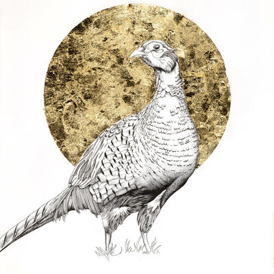 Pen & Ink pheasant with gold leaf embellishment
