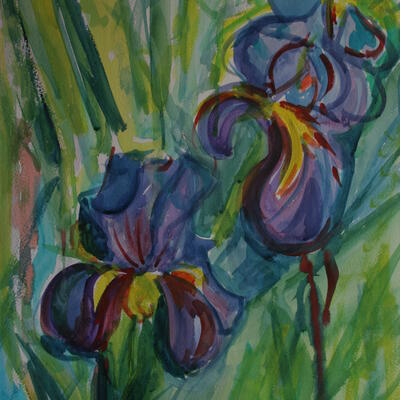 a beautiful iris painted in watercolour at a class for watercolours