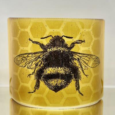 Bee on honeycomb curve