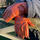 Orange hand stitched gloves by Elizabeth Bond