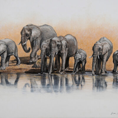 Sue Sidley: 