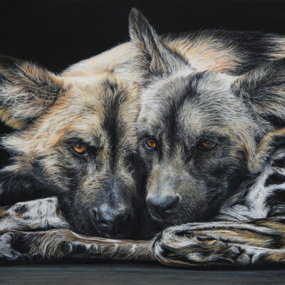 Sue Sidley: 