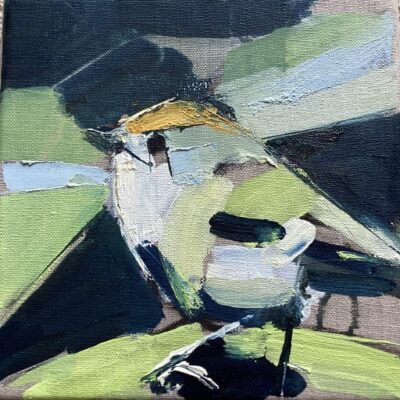 Di Oldfield: 