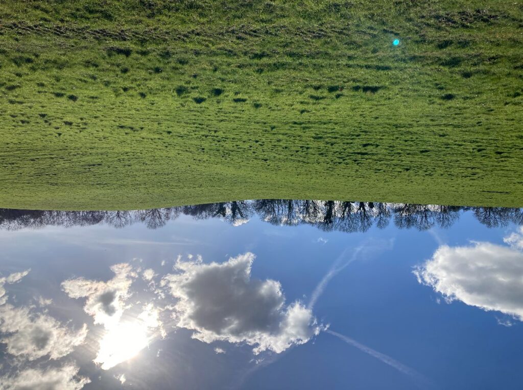 Janet Edmonds at work
