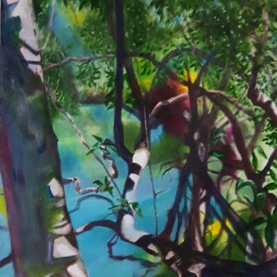 Elizabeth Waumsley: Mangroves at Cape Tribulation