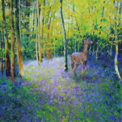Bucks Art Weeks open studio summer 2026 works: Deer in bluebells