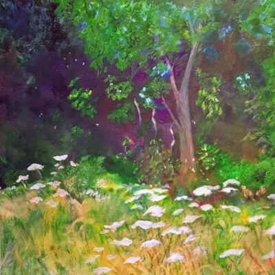 Elizabeth Waumsley: Into the woods- Chess Valley