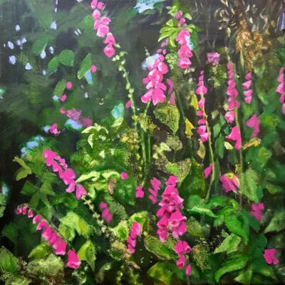 Elizabeth Waumsley: Woodland Foxgloves