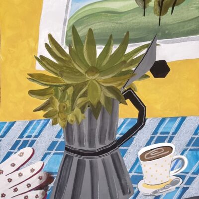 Hayley Noakes: Coffee Pot and Succulent
