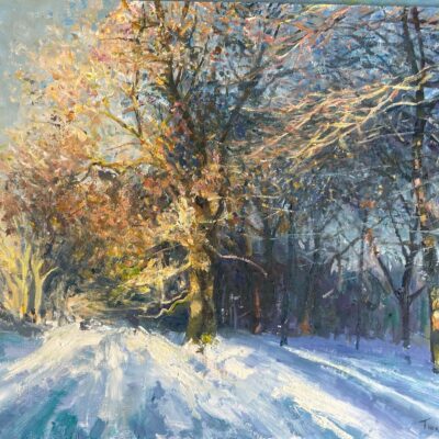 Bucks Art Weeks open studio summer 2026 works: Coomb Hill Snow