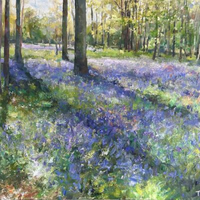 Bucks Art Weeks open studio summer 2026 works: Bluebell woods - Ashridge Estate