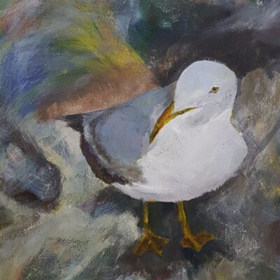 Elizabeth Waumsley: Seagull on the lookout