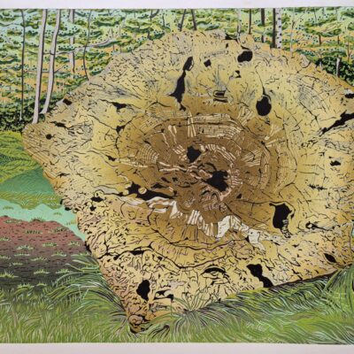 Vonnie Raw (a.k.a. Cogbeetle art): Handmade lino-reduction print. Title: Tree portraits #1: Magical tales from the ancient oak