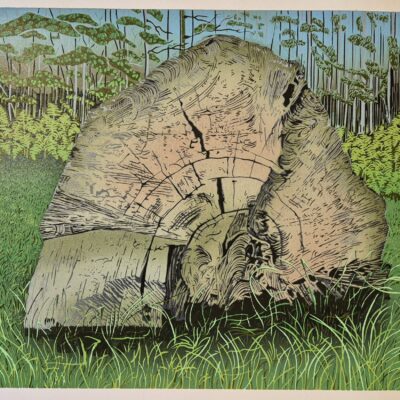 Vonnie Raw (a.k.a. Cogbeetle art): Handmade lino-reduction print. Title: Tree portraits #3: Nature's history book