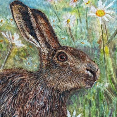 Helen Abbott: Da Capo: Hare with daisies  : Oil on canvas