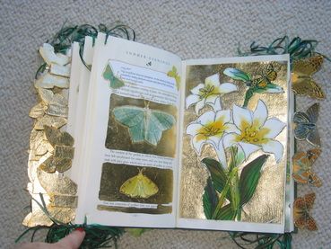 Barbara Pearman: Altered book